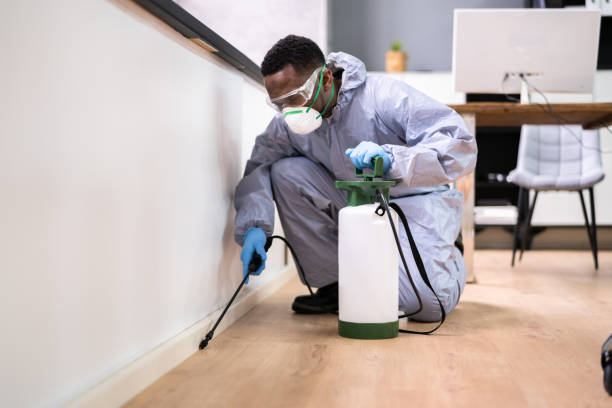 Best Real Estate Pest Inspections  in Centreville, MI